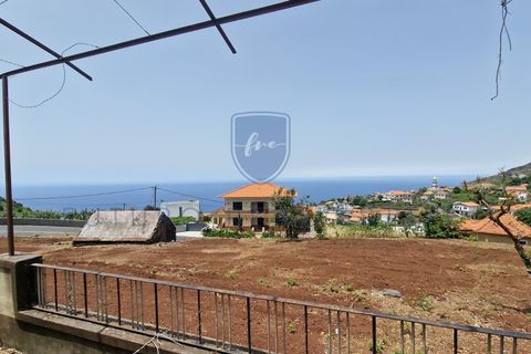 Villa i Arco da Calheta, Madeira, Arco da Calheta - € 980 000 | Ref: F798 - foto 4