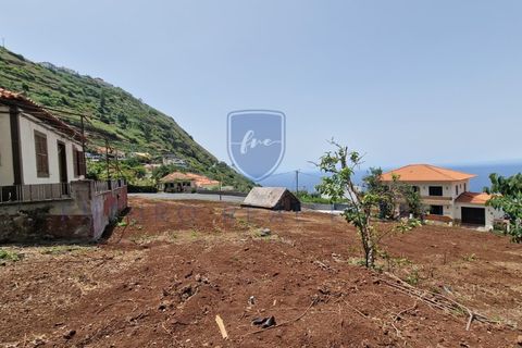 Villa i Arco da Calheta, Madeira, Arco da Calheta - € 980 000 | Ref: F798 - foto 15