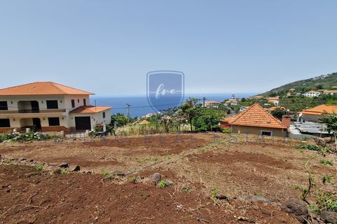 Villa i Arco da Calheta, Madeira, Arco da Calheta - € 980 000 | Ref: F798 - foto 23