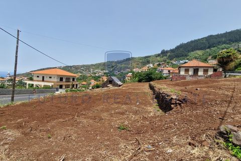 Villa i Arco da Calheta, Madeira, Arco da Calheta - € 980 000 | Ref: F798 - foto 31