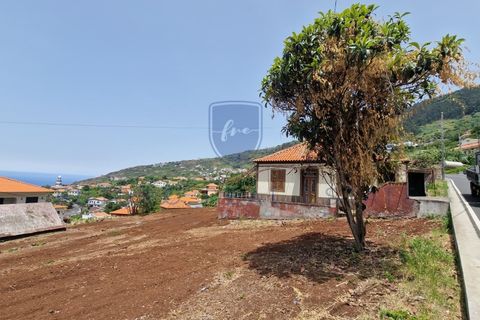 Villa i Arco da Calheta, Madeira, Arco da Calheta - € 980 000 | Ref: F798 - foto 33