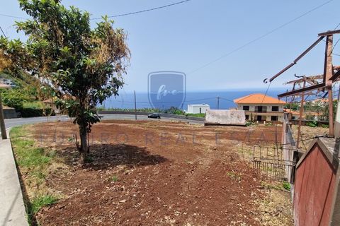 Villa i Arco da Calheta, Madeira, Arco da Calheta - € 980 000 | Ref: F798 - foto 34