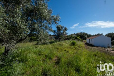 Rekkehus i Tomar, Santarem, Tomar - € 166 000 | Ref: 938506 - foto 14