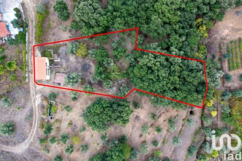 Rekkehus i Tomar, Santarem, Tomar - € 166 000 | Ref: 938506 - foto 15