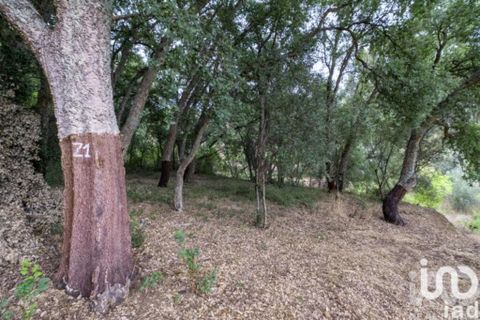 Rekkehus i Tomar, Santarem, Tomar - € 166 000 | Ref: 938506 - foto 16