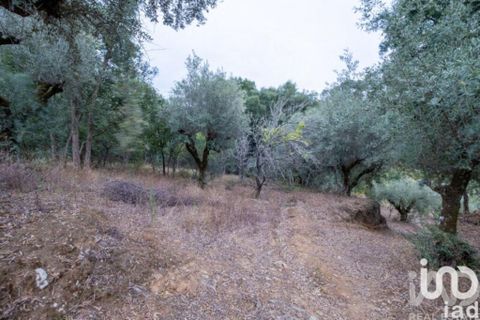 Rekkehus i Tomar, Santarem, Tomar - € 166 000 | Ref: 938506 - foto 17