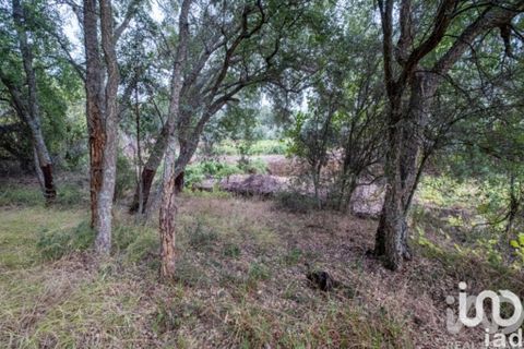 Rekkehus i Tomar, Santarem, Tomar - € 166 000 | Ref: 938506 - foto 19
