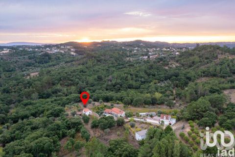 Rekkehus i Tomar, Santarem, Tomar - € 166 000 | Ref: 938506 - foto 20