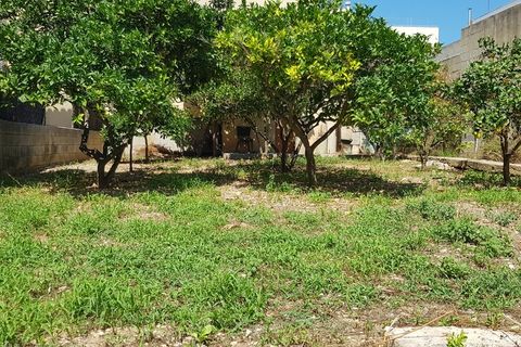 Helårsgrund i Arta, Mallorca, Arta - € 223.600 | Ref: 61306W - foto 4