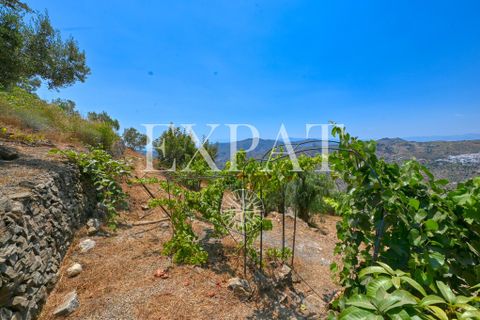 Landejendom i Competa, Malaga, Competa - € 650.000 | Ref: 0488 - foto 33