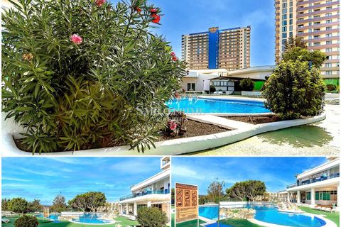 Studio i Adeje, Tenerife, Adeje - € 215.000 | Ref: 6503EX - foto 14