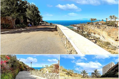 Studio i Adeje, Tenerife, Adeje - € 215.000 | Ref: 6503EX - foto 38