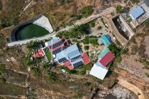Landejendom i Los Blanquitos, Tenerife, Los Blanquitos - € 495.000 | Ref: TOP-AS-465 - foto 2