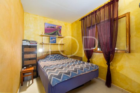 Landejendom i Los Blanquitos, Tenerife, Los Blanquitos - € 495.000 | Ref: TOP-AS-465 - foto 6