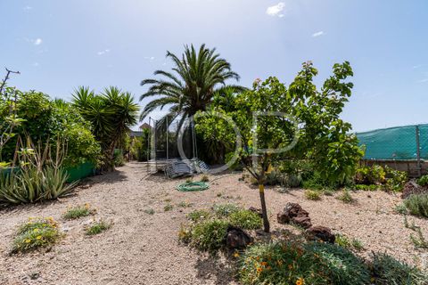Landejendom i Los Blanquitos, Tenerife, Los Blanquitos - € 495.000 | Ref: TOP-AS-465 - foto 23