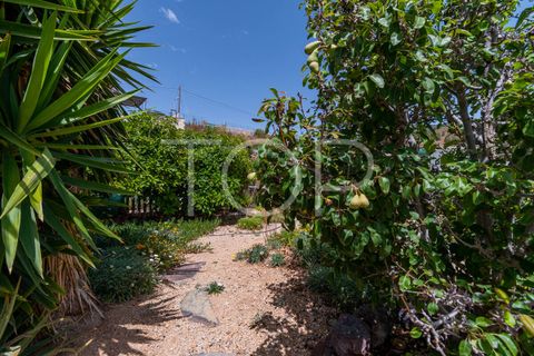 Landejendom i Los Blanquitos, Tenerife, Los Blanquitos - € 495.000 | Ref: TOP-AS-465 - foto 30