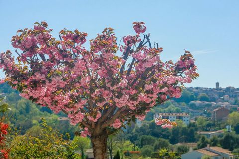 Willa: Vence, Alpes-Maritimes, Vence – 1 240 000 € | Ref: HH-16233051 – zdjęcie 17
