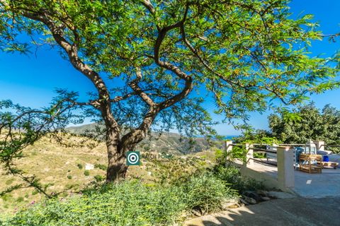 Landejendom i Almunecar, Granada, Almunecar - € 239.000 | Ref: 250516 - foto 41