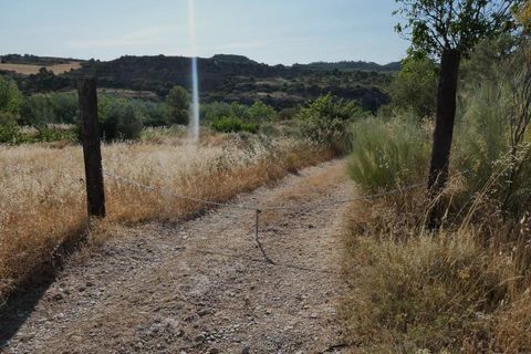 Finca i Caspe, Zaragoza, Caspe - € 85.000 | Ref: 1131 - foto 2