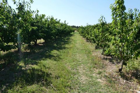 Finca i Caspe, Zaragoza, Caspe - € 85.000 | Ref: 1131 - foto 45