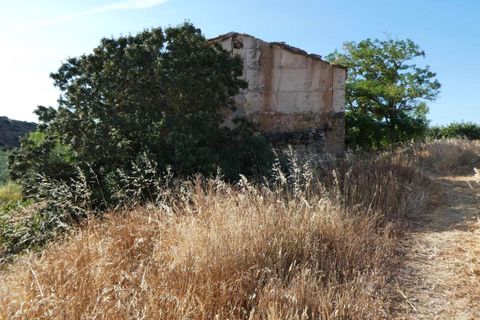 Finca i Caspe, Zaragoza, Caspe - € 85.000 | Ref: 1131 - foto 26