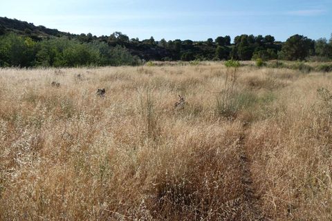 Finca i Caspe, Zaragoza, Caspe - € 85.000 | Ref: 1131 - foto 39