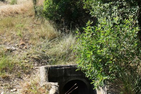 Finca i Caspe, Zaragoza, Caspe - € 85.000 | Ref: 1131 - foto 3