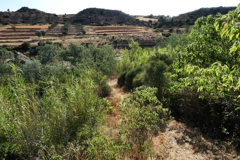 Finca i Caspe, Zaragoza, Caspe - € 85.000 | Ref: 1131 - foto 33
