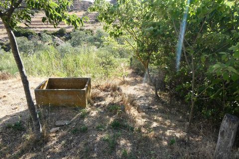 Finca i Caspe, Zaragoza, Caspe - € 85.000 | Ref: 1131 - foto 31