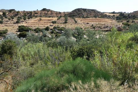 Finca i Caspe, Zaragoza, Caspe - € 85.000 | Ref: 1131 - foto 43