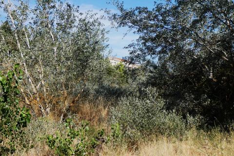 Finca i Caspe, Zaragoza, Caspe - € 85.000 | Ref: 1131 - foto 38