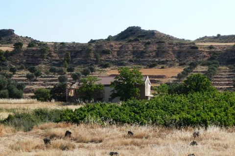 Finca i Caspe, Zaragoza, Caspe - € 85.000 | Ref: 1131 - foto 50