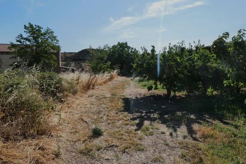 Finca i Caspe, Zaragoza, Caspe - € 85.000 | Ref: 1131 - foto 46
