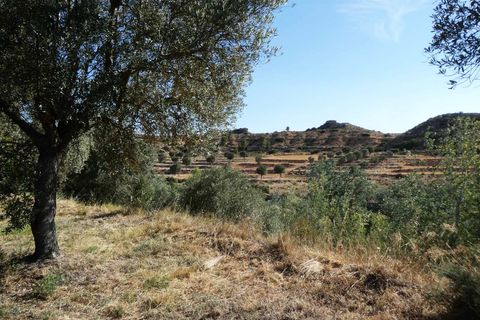 Finca i Caspe, Zaragoza, Caspe - € 85.000 | Ref: 1131 - foto 41