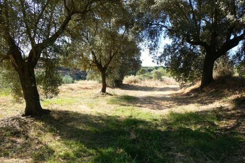Finca i Caspe, Zaragoza, Caspe - € 85.000 | Ref: 1131 - foto 7