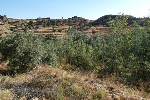 Finca i Caspe, Zaragoza, Caspe - € 85.000 | Ref: 1131 - foto 40