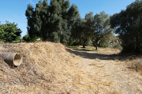 Finca i Caspe, Zaragoza, Caspe - € 85.000 | Ref: 1131 - foto 8