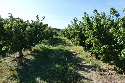 Finca i Caspe, Zaragoza, Caspe - € 85.000 | Ref: 1131 - foto 44