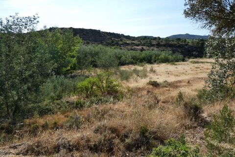Finca i Caspe, Zaragoza, Caspe - € 85.000 | Ref: 1131 - foto 42