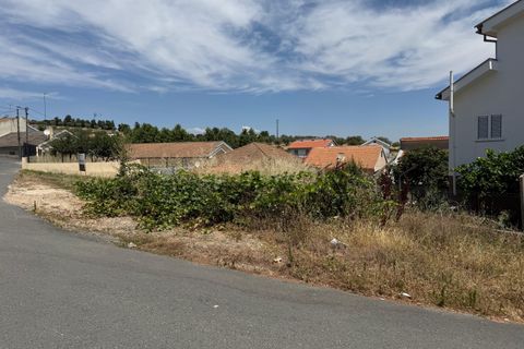 Terrain - Vimioso, Braganca, Vimioso - € 30 000 | Réf : C0458-00627 - photo 6