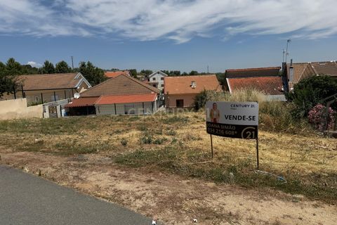 Terrain - Vimioso, Braganca, Vimioso - € 30 000 | Réf : C0458-00627 - photo 7