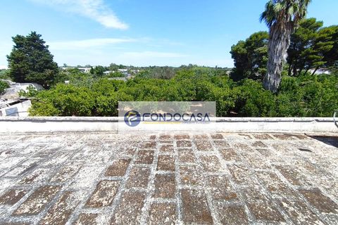 Erhvervsejendom i Giuggianello, Lecce, Giuggianello - € 390.000 | Ref: 165 - foto 32