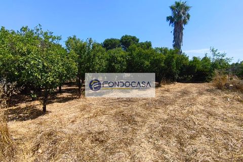 Erhvervsejendom i Giuggianello, Lecce, Giuggianello - € 390.000 | Ref: 165 - foto 34
