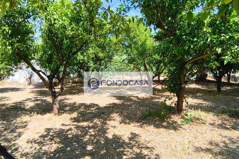Erhvervsejendom i Giuggianello, Lecce, Giuggianello - € 390.000 | Ref: 165 - foto 35