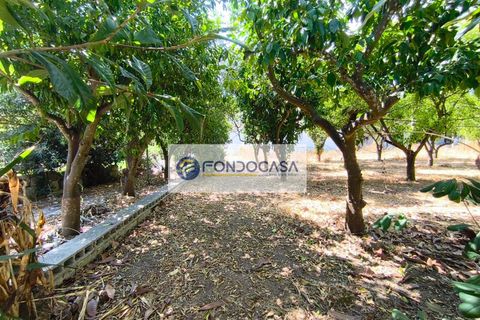 Erhvervsejendom i Giuggianello, Lecce, Giuggianello - € 390.000 | Ref: 165 - foto 38