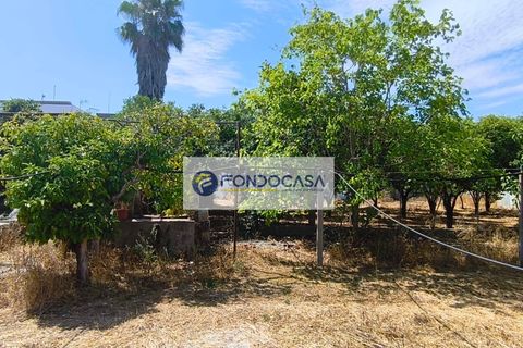 Erhvervsejendom i Giuggianello, Lecce, Giuggianello - € 390.000 | Ref: 165 - foto 39