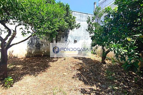 Villa i Spongano, Lecce, Spongano - € 139.000 | Ref: 166 - foto 21