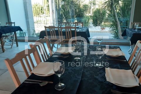 Gård i Agueda, Aveiro, Agueda - € 3 250 000 | Ref: BG-H3AS_186 - foto 8
