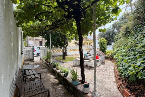 Villa i Ponte de Sor, Portalegre, Ponte de Sor - € 65.000 | Ref: C0506-00743 - foto 21