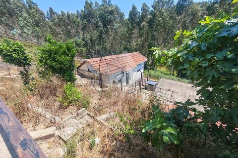 Villa i Valongo, Porto, Valongo - € 170.000 | Ref: TRZ_MM_861 (2) - foto 14